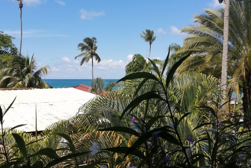 Tropical Expert Las Terrenas